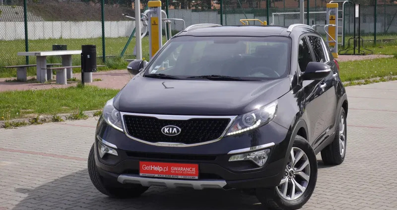 świętokrzyskie Kia Sportage cena 48900 przebieg: 117000, rok produkcji 2015 z Starachowice